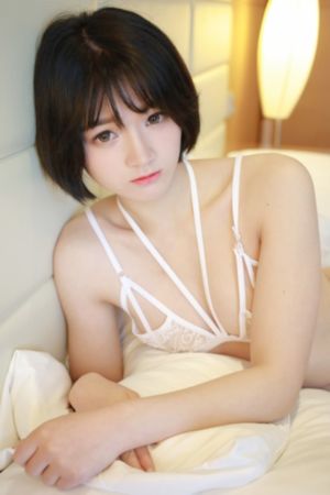 97免费精品无码一区二区_DVD完整在线观看